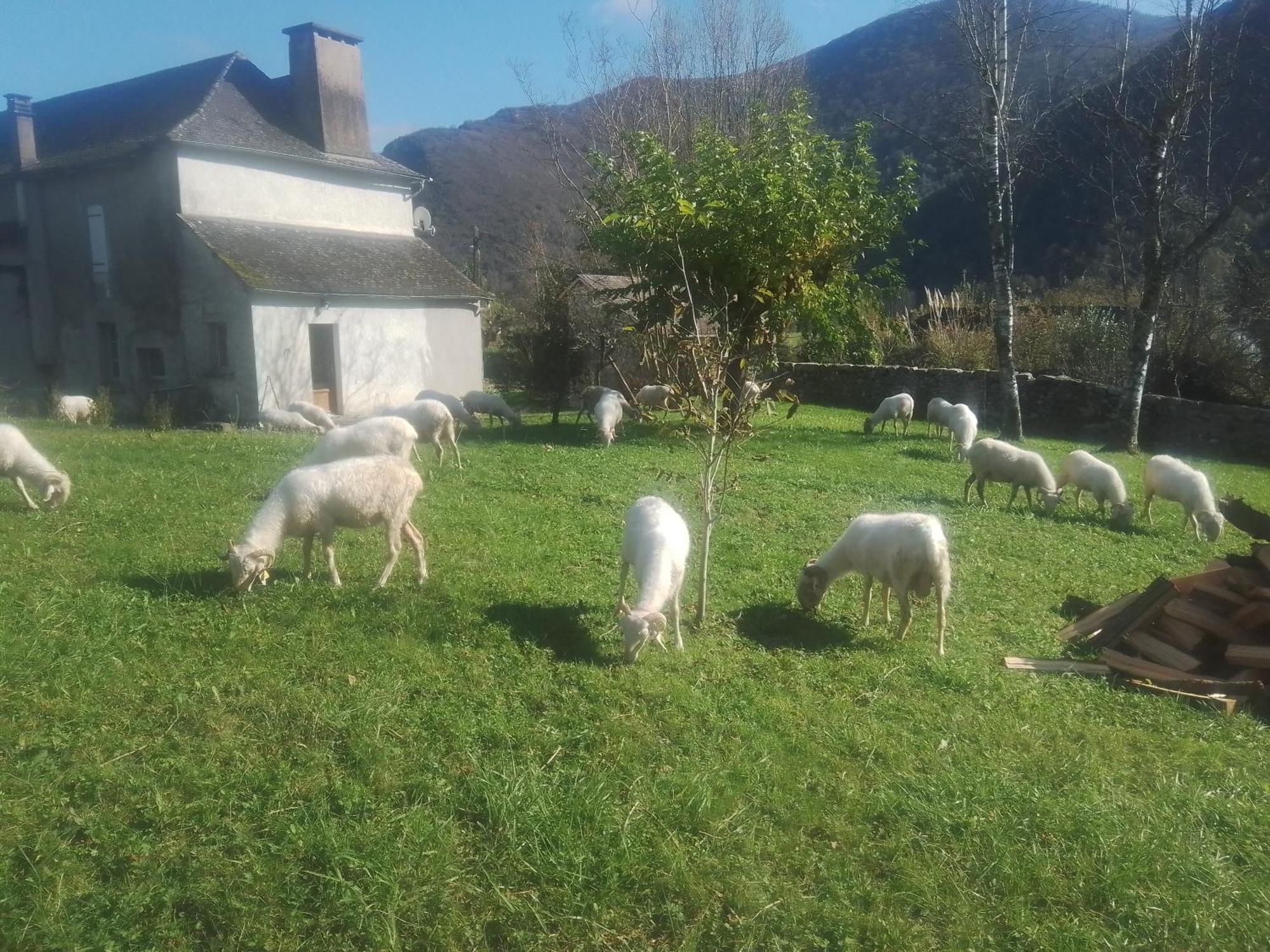 Gite Maison Chourrist Capbis المظهر الخارجي الصورة